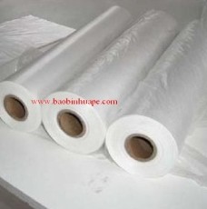 Màng LDPE trong khổ lớn 6m